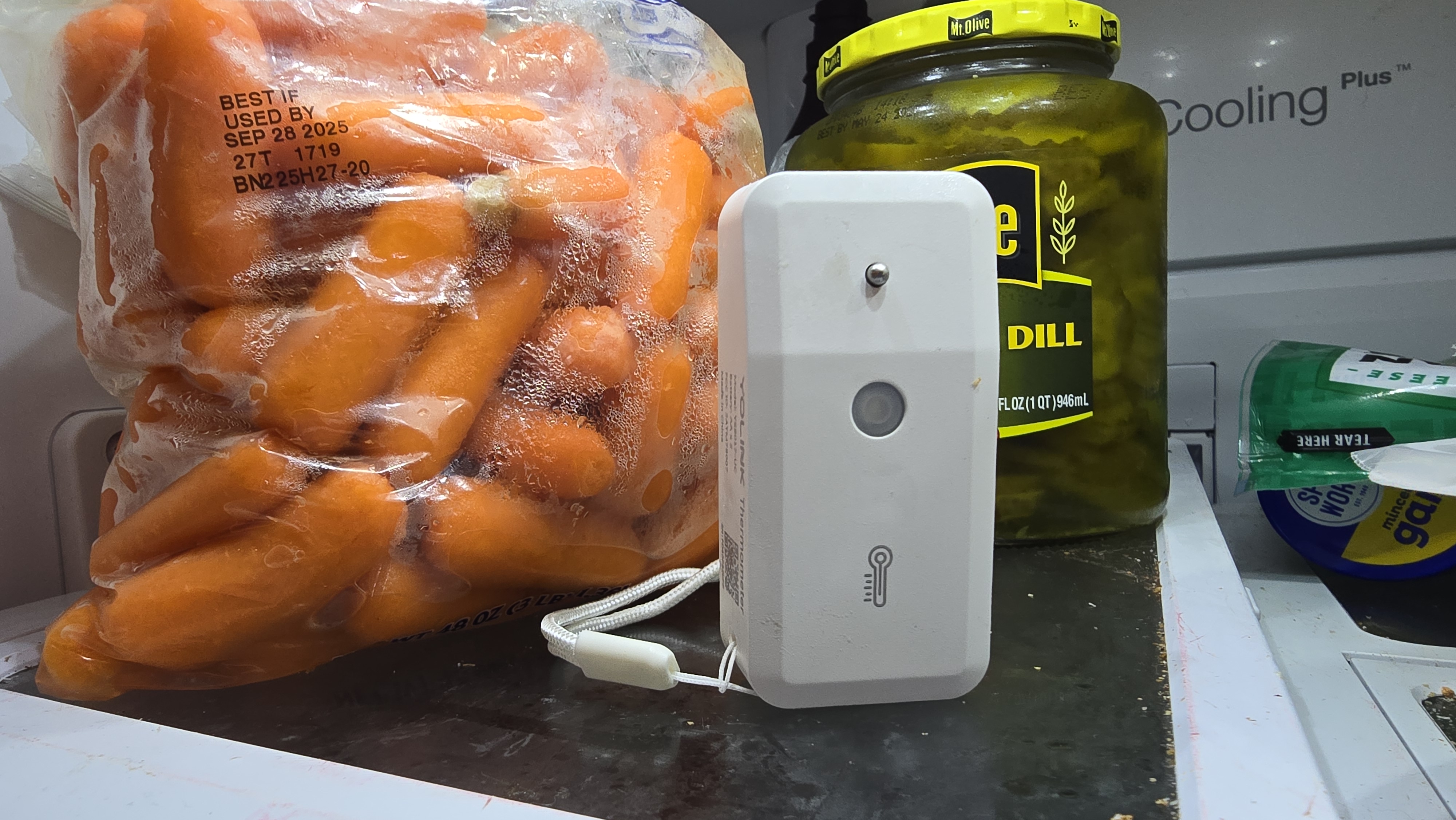 YoLink wireless thermometer probe